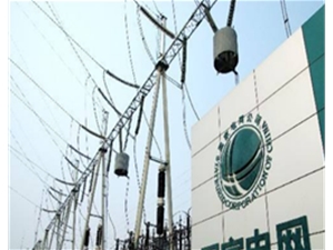 国家电网辽宁省电力有限公司